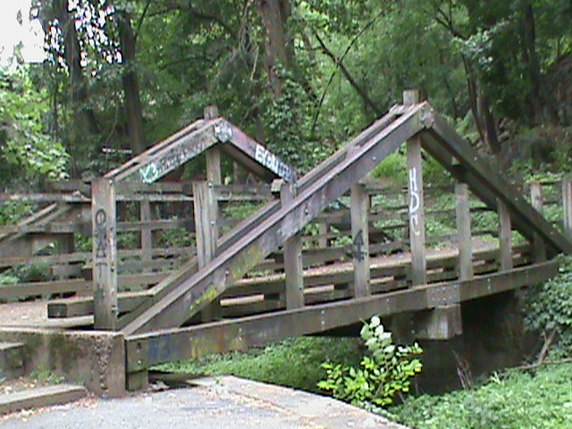 photo of bridge in forest